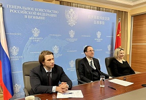 Генконсульство в формате ВКС приняло участие в совещании по обмену опытом по созданию бондовых зон
